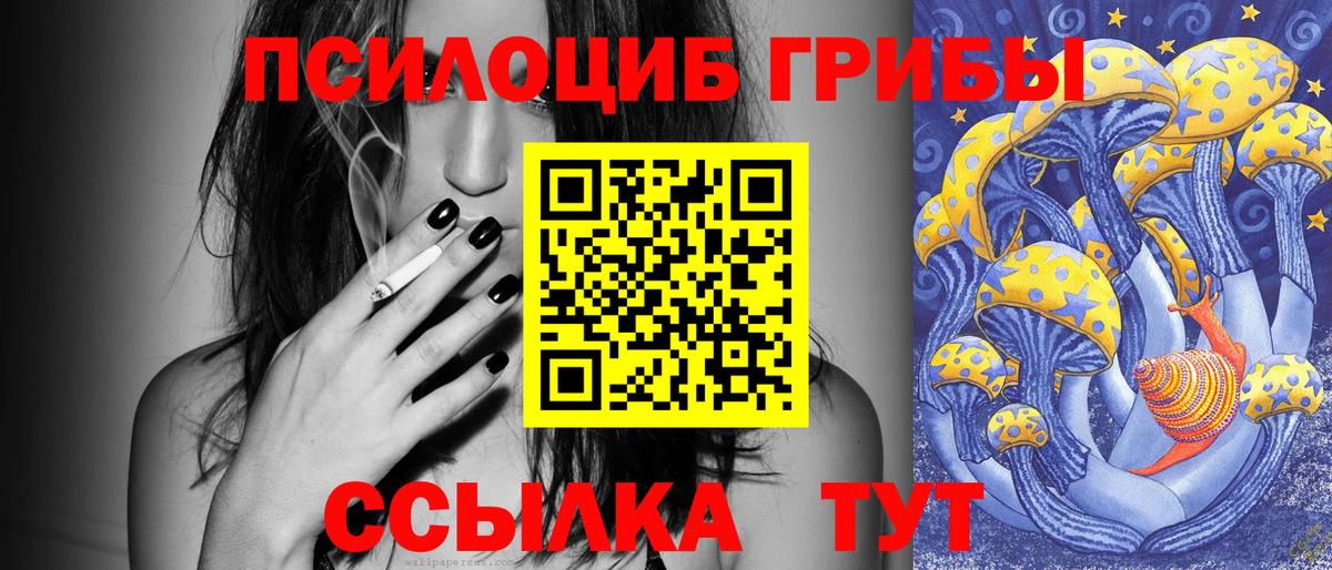 Галлюциногенные грибы Psilocybine cubensis Нижнеудинск